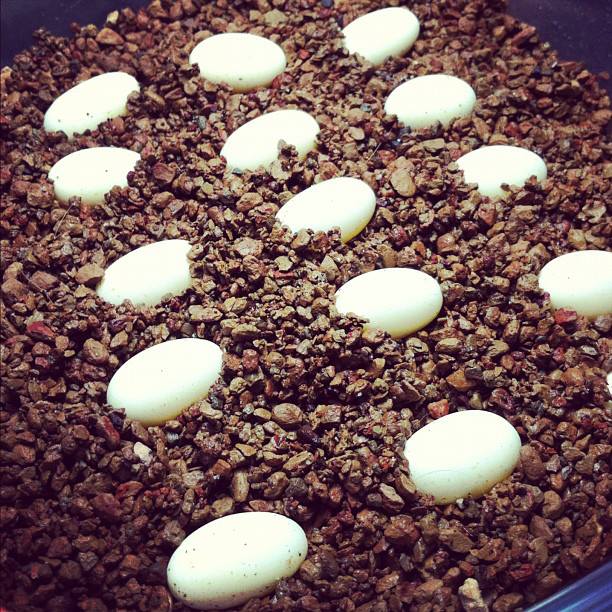 Rankins eggs