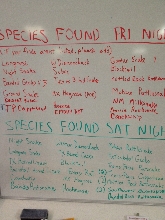 Species found at snake days 2013
