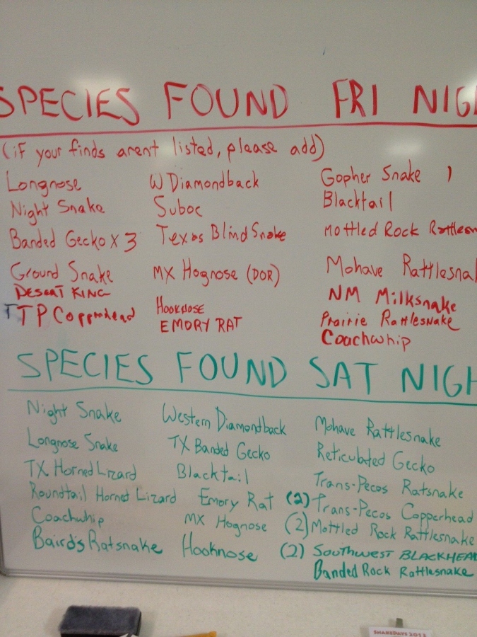 Species found at snake days 2013