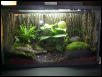 10 Gallon