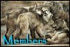 Members