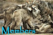 Members