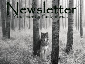 Newsletter