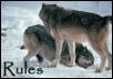 Rules