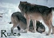 Rules