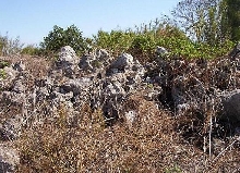 Habitat rocks1