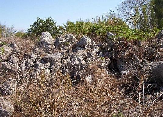 Habitat rocks1