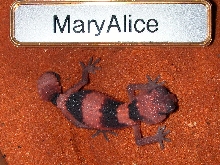 Just hatched this morning.