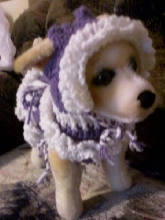 Toy Togs  - THE LATEST FASHION CRAZE!