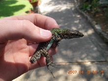 Unidentified?
