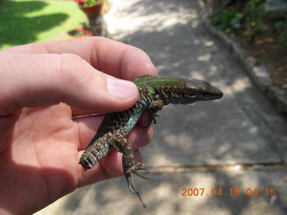 Unidentified?