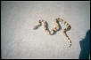 Bammer...on the cement...again...
