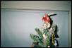 its a very BOA christmas