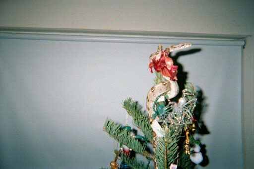 its a very BOA christmas