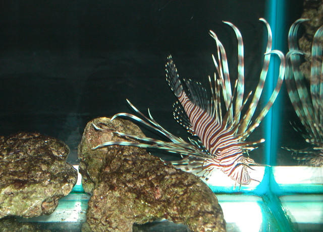 Saltwater Photos