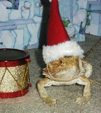 Ho ho ho