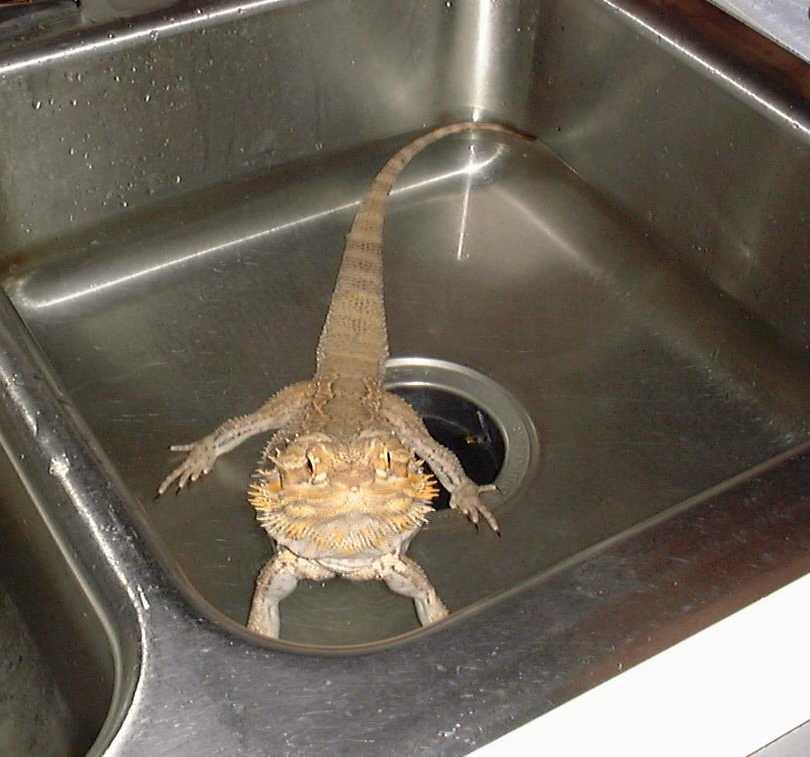 Ojay taking a bath