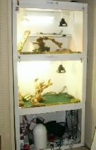 Beardie Condo