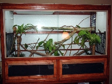 V. Melinus Enclosure
