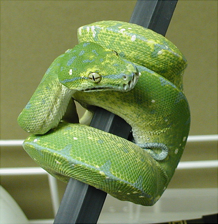 Second shot of male