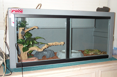 Cage1