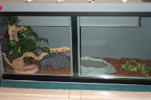 Cage2