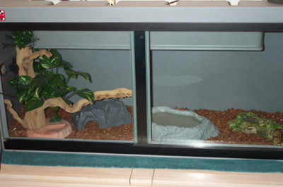 Cage2