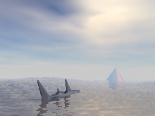 Dolphins2