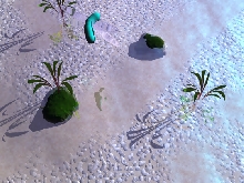 riverbed
