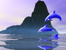 Dolphins