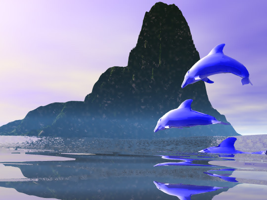 Dolphins