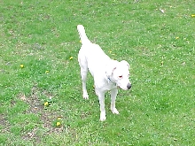 Soozi in yard