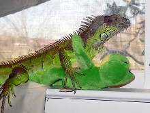 Spike with friend (fixed)