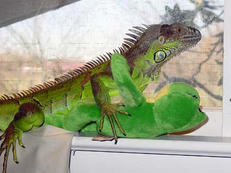 Spike with friend (fixed)