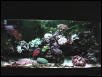Salt Tank