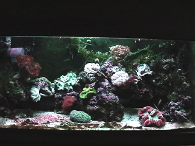 Salt Tank