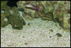 Saltwater Photos