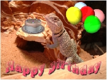 happy birthday!