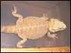 CheriS_Baby_1_2