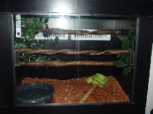 My ETB In His New Cage