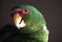 I'm ready for my close-up