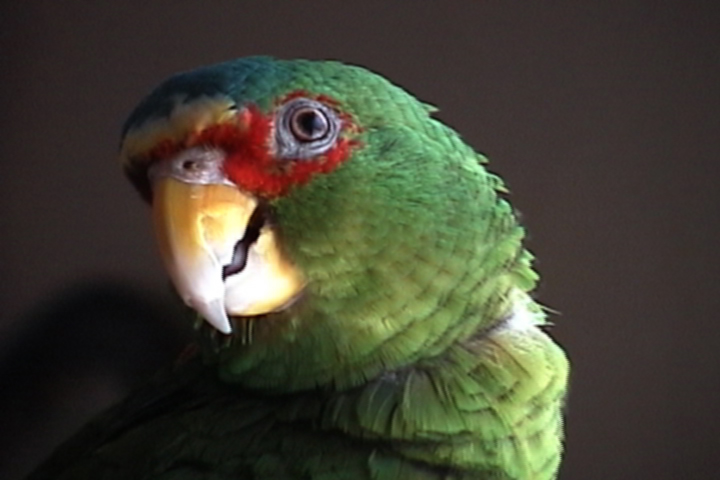 I'm ready for my close-up