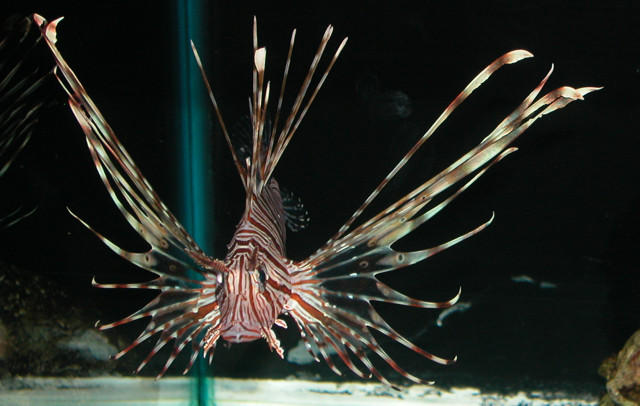 Saltwater Photos