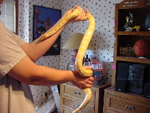 fgjf