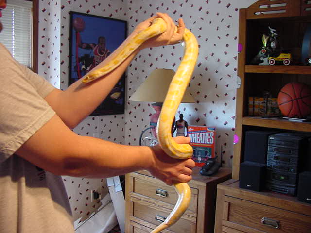 fgjf