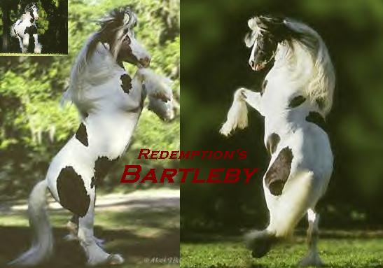 Bartleby