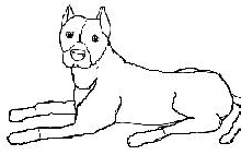 BullyArt