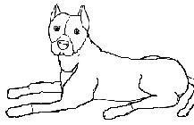 BullyArt