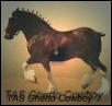 Ghetto Cowboy