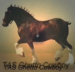 Ghetto Cowboy